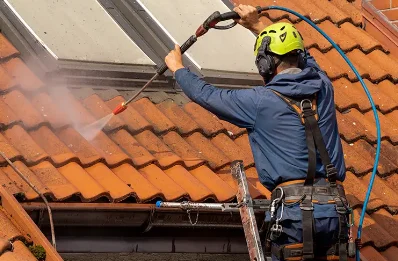 Démoussage et hydrofuge de toiture à Pelonne